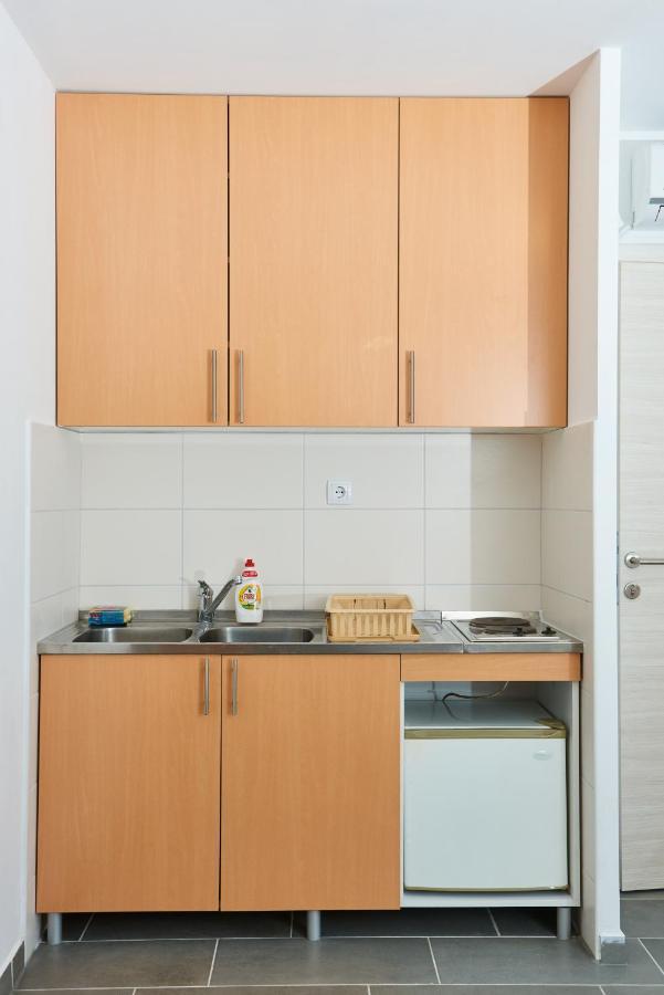 Sakota Family House Apartment Sremska Kamenica Exterior photo