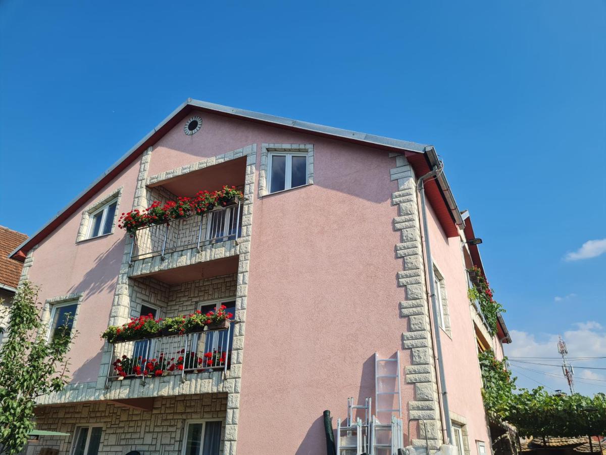 Sakota Family House Apartment Sremska Kamenica Exterior photo