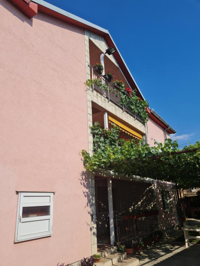 Sakota Family House Apartment Sremska Kamenica Exterior photo